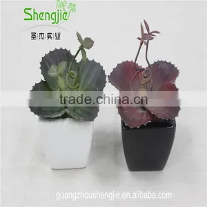 SJLJ013384 Artificial Plant / Fake Plastic Succulent Plant for Office / Restaurant Decoration thumbnail-3