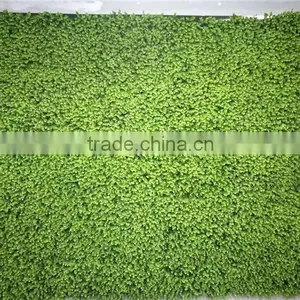 Recycling Material Long Life Green Grass Wall for Indoor and Outdoor Decor thumbnail-1