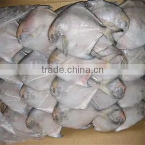 Sea Frozen Cooking Fishing thumbnail-1