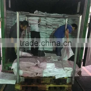 Frozen Illex Squid From CHINA 200-300G thumbnail-3