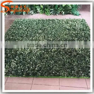 Latest Design Plastic Vertical Garden Green Wall System thumbnail-6