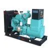 Cummins Power Generator thumbnail-1