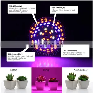 10W 30W 50W 80W Full Spectrum Led Grow Light For Hydroponics Flowers Plants Vegetables thumbnail-6