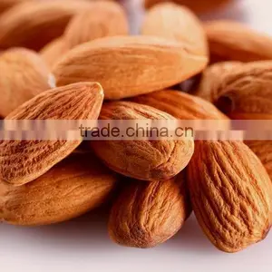 Sweet Almond/almond Kernel thumbnail-1