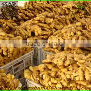 (HOT) Chinese Normal White Garlic thumbnail-4