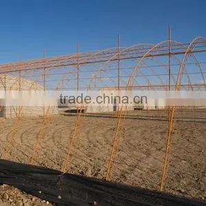 Commercial Multi Span Vegetable & Flower Greenhouse thumbnail-4