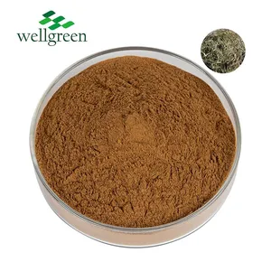 Top Grade Price Sophora Japonica Extract Dihydrate 98 117-39-5 Bulk Quercetin Powder thumbnail-1