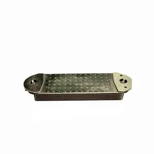 Engine Oil Cooler Oem 8130186 for Volvo Fh12 1seeria thumbnail-1