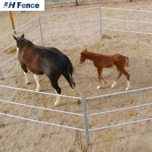 Competitive Price High Quality Hot Dipped Galvanized Livestock Yard Cattle Panel Heavy Duty Rural Fencing thumbnail-5