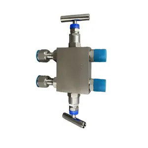 Customized 1/2NPT(M)-1/2NPT(F) High Temperature Resistance Transmitter Valve Stainless Steel Pressure Gauge Two-Valve Manifold 316SS thumbnail-1