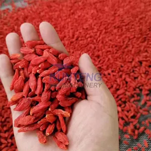 Industry Food Dehydrator Pineapple Seafood Cardamom Herb Mesh Belt Conveyor Dryer Saffron Lotus Seed Drying Machine Equipment EPC thumbnail-2