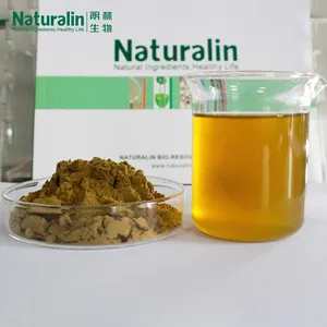 Ivy Extract thumbnail-2