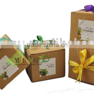 Canned Flower.Mini Garden Plant.Novelty Gift thumbnail-1