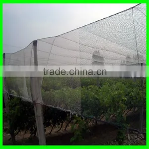 Grape Hail Protection Net/resist Hail Mesh/woven Anti Hail Net thumbnail-2
