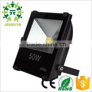 30w 30000hrs 2700k-7000k Cob Outdoor Led Light Flood Lights thumbnail-1