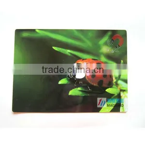Decorations Magnet Flat Tourist Insect Fridge Magnet thumbnail-1