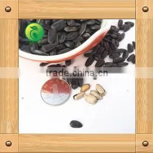 Sunflower Seeds for Birds Small Seed High Oil Content thumbnail-3