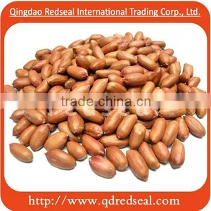 Roasted Peanuts thumbnail-1