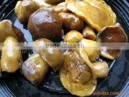 Canned Suillus Mushroom In Brine thumbnail-1