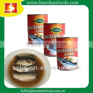 Canned Mackerel in Brine thumbnail-1