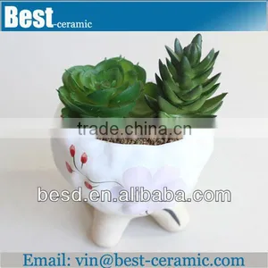 Small Gift Indoor Ceramic Flower Pot thumbnail-1