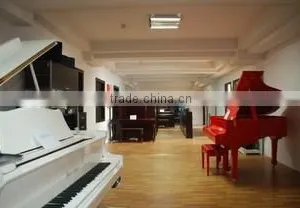 Hangzhou Start Musical Instrument Co., Ltd. company overview - view 3 thumbnail