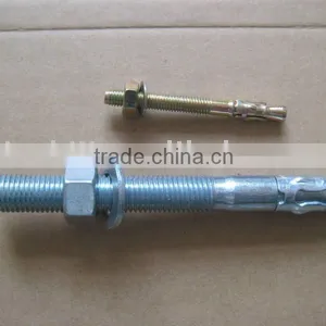 Wedge Anchor thumbnail-1