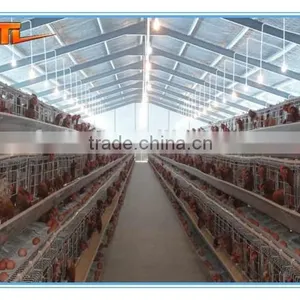 Prefabricated Building Steel Chicken Farm thumbnail-2