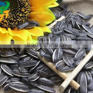 Sunflower Seeds 3638 thumbnail-2