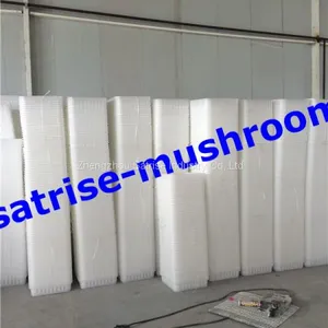 Hot Sale Safe PP Compartment Disposable Frozen Mushroom Trays thumbnail-3