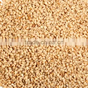 Brown Sesame Seed thumbnail-3