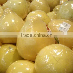 Fresh Honey Pomelo thumbnail-1