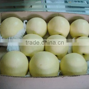 Fresh Golden Pear With Factory Price thumbnail-1