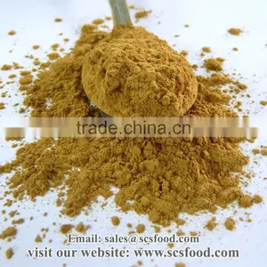Cinnamon Powder / Spices & Condiments thumbnail-1