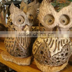Owl Coconut thumbnail-1
