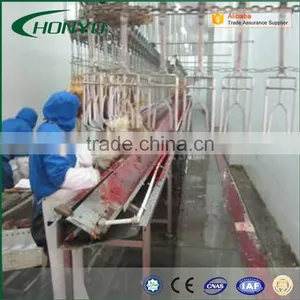 Full Stainless Steel Structure Halal Poultry CHICKEN SLAUGHTER AND ABATTOIR MACHINE LINE thumbnail-1