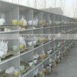 Farm Rabbit Cage thumbnail-1