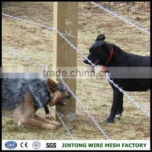 Galvanized Steel Coiled Barbed Wire Barbed Wire for Protect Barbed Iron Wire thumbnail-1