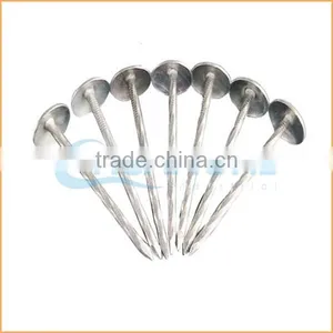 Top Quality Competitive Zinc Roofing Nail With Umbrella Head From Trusted Chuanghe Suppliers thumbnail-1