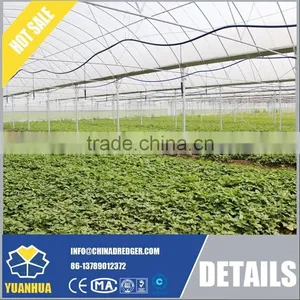 Commercial Greenhouse thumbnail-6