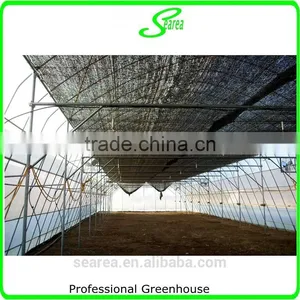 Hot Dipped Galvanzied Arch Pipes Greenhouse thumbnail-5