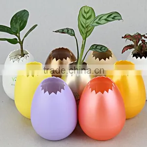 UV Oil Coated Colorful Shell Planter From Oem Factory thumbnail-6