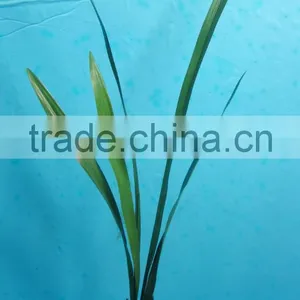 Artificial Plastic Grass/green Fake Grass/decorative Artificial Grass thumbnail-2