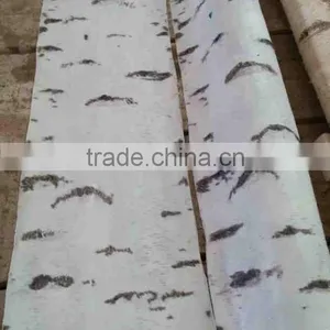 Artificial Dry Tree Bark/real Wood Tree Trunk thumbnail-2