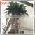 2016 Artificial Date Palm Tree For Swimming Pool Decoration thumbnail-1