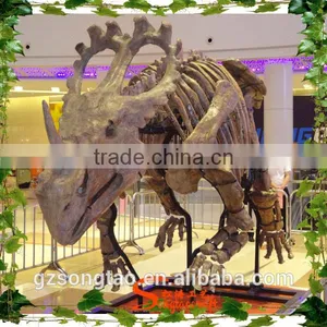 Museum High Quality Artificial Dinosaur Skeleton Resin Statues thumbnail-1