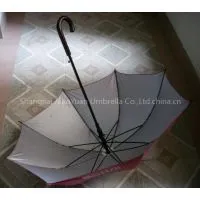 Straight Umbrella - 03 thumbnail-1
