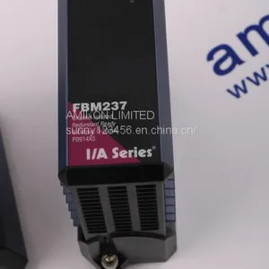 Foxoboro FBM02 thumbnail-2