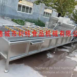 Raisin Washing Line Raisin Cleaner Raisin Processing Equipment thumbnail-3
