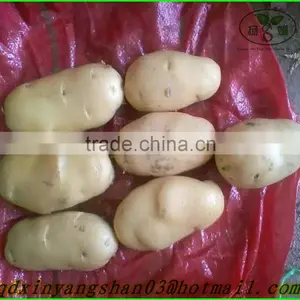 2015 Cang Shan 4-6 Clove Garlic(The Best Quality) thumbnail-5